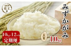 【 先行予約 】 令和7年産 新米 予約 みずかがみ 玄米 10kg 定期便 12ヶ月 みずかがみ 定期 12か月  10kg × 12回 計 120kg 米 滋賀県 竜王町 国産 農家直送 特別栽培米 ミズカガミ  2025年産 国産 農家直送 環境こだわり お米 こめ おこめ 産地直送 送料無料 滋賀県 竜王町 ふるさと納税