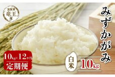 【 先行予約 】 令和7年産 新米 予約 みずかがみ 白米 10kg 定期便 12ヶ月 みずかがみ 定期 12か月  10kg × 12回 計 120kg 米 滋賀県 竜王町 国産 農家直送 特別栽培米 ミズカガミ  2025年産 国産 農家直送 環境こだわり お米 こめ おこめ 産地直送 送料無料 滋賀県 竜王町 ふるさと納税