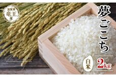 【 先行予約 】 令和7年産 新米 予約 夢ごこち 白米 2kg 米 滋賀県 竜王町 国産 農家直送 特別栽培米 ゆめごこち  2025年産 国産 農家直送 環境こだわり お米 こめ おこめ 産地直送 送料無料 滋賀県 竜王町 ふるさと納税