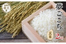 【 先行予約 】 令和7年産 新米 予約 夢ごこち 玄米 2kg 米 滋賀県 竜王町 国産 農家直送 特別栽培米 ゆめごこち  2025年産 国産 農家直送 環境こだわり お米 こめ おこめ 産地直送 送料無料 滋賀県 竜王町 ふるさと納税