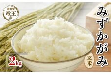 【 先行予約 】 令和7年産 新米 予約 みずかがみ 玄米 2kg 米 滋賀県 竜王町 国産 農家直送 特別栽培米 ミズカガミ 2025年産 国産 農家直送 環境こだわり お米 こめ おこめ 産地直送 送料無料 滋賀県 竜王町 ふるさと納税