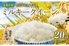 新米予約 特別栽培米 ミルキークイーン 令和7年産 米 20kg 白米 みるきーくいーん 2025年産 国産 農家直送 環境こだわり お試し用 小分け お米 こめ おこめ 新米 先行予約 農家直送 産地直送 滋賀県 竜王町