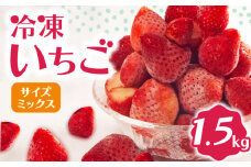 冷凍 いちご 1.5kg 完熟 ヘタ取り サイズミックス イチゴ 苺 冷凍いちご 果物 スイーツ デザート フルーツ アイス ジャム シャーベット ベリー 氷菓 甘い オススメ 人気 滋賀県 竜王町 ひさだ苺農園									