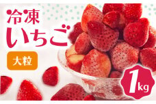 冷凍 いちご 1kg 完熟 ヘタ取り 大粒 イチゴ 苺 冷凍いちご 果物 スイーツ デザート フルーツ アイス ジャム シャーベット ベリー 氷菓  甘い オススメ 人気 滋賀県 竜王町 ひさだ苺農園