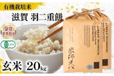 【 オーガニック米 】 新米 羽二重餅 玄米 10kg × 2袋  ( 令和7年産 先行予約 有機JAS 認証米 オーガニック米 有機栽培米 玄米 十六代目米師又八 謹製 ブランド 米 rice 玄米 ご飯 内祝い もちもち 餅米 もち米 国産 送料無料 滋賀県 竜王 ふるさと納税 )