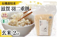 【 オーガニック米 】 新米 羽二重餅 玄米 2kg ( 令和7年産 先行予約 有機JAS 認証米 オーガニック米 有機栽培米 玄米 お米 十六代目米師又八 謹製 ブランド 米 rice ご飯 内祝い もちもち 国産 送料無料 滋賀県 竜王 ふるさと納税 )