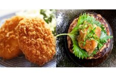 【11月お届け】【近江牛コロッケ・近江牛オリジナルハンバーグ ミニセット】肉 牛肉 コロッケ ハンバーグ ブランド牛 近江牛 三大和牛 和牛 黒毛和牛 ミンチ 冷凍 お弁当 おかず お惣菜 滋賀県 竜王