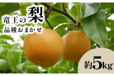 期間限定 梨  5kg 数量限定 品種 おまかせ 数量限定 なし ナシ 幸水 豊水 品種 夏 フルーツ 果実 くだもの 竜王産 滋賀県 竜王町 送料無料 ふるさと納税
