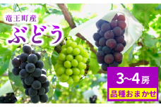 期間限定 ぶどう 3～4房 園主 おすすめ 詰め合わせ 葡萄 ブドウ マスカット 巨峰 シャインマスカット  デラウェア アーリースチューベン ベリーA サニールージュ ピオーネ シナノスマイル 安芸クイーン 甲斐美嶺 竜宝 高墨 数量限定 品種 おまかせ 数量限定 品種 夏 秋 フルーツ ふるーつ 果実 くだもの 竜王産 滋賀県 竜王町 送料無料 ふるさと納税
