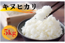 【2週間以内発送】【令和6年産】 米 キヌヒカリ 5kg お米 きぬひかり 国産 滋賀県 竜王町産 精米 ライス 白飯 ご飯 ゴハン こめ おこめ コメ 白米  産地直送 送料無料 ギフト 滋賀県 竜王町