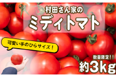 村田さん家の ミディトマト 約 3kg 野菜 トマト ミニトマト 完熟   【 とまと ふるーつとまと トマト とまと tomato 中玉 美味しい 甘い 野菜 サラダ ギフト 滋賀県 竜王町 】