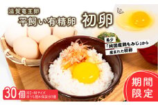 期間限定 初卵 平飼い有精卵 30個  ( 数量限定 滋賀竜王卵 新鮮 平飼い 卵 純国産 鶏もみじ 大人気 たまご 鶏卵 卵黄 エッグ 希少 たまごかけ ご飯 玉子 タマゴ 卵玉子焼き すき焼き 鶏 ケーキ 産地直送 送料無料 国産 滋賀県 竜王町 ふるさと納税 )