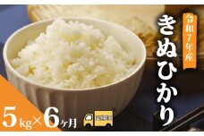 【 先行予約 】【 令和7年産 】 新米 予約 米 キヌヒカリ 5kg 定期便 6ヶ月 きぬひかり お米 国産 定期 6か月 5kg × 6回 計 30kg 滋賀県 竜王町産 精米 ライス 白飯 ご飯 ゴハン こめ おこめ コメ 白米  産地直送 送料無料 ギフト 滋賀県 竜王町