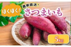 さつまいも 5 kg 野菜 サツマイモ 焼き芋 芋 鳴門金時 なると金時 ヤサイ やさい 食材 新鮮 旬 産地直送  滋賀県 竜王町 送料無料 竜王産 