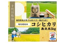  【 新米予約 】 コシヒカリ 無洗米 5kg 縁起の竜王米 ( 令和7年産 先行予約 新米 無洗米 5kg おこめ ごはん 米 特別栽培米 ブランド米 ライス こだわり米 ギフト 国産 滋賀県竜王町 )