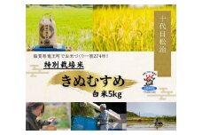  【 新米予約 】 きぬむすめ 白米 5kg 縁起の竜王米 ( 令和7年産 先行予約 新米 白米 5kg おこめ ごはん 米 特別栽培米 ブランド米 ライス こだわり米 ギフト 国産 縁起の竜王米 滋賀県竜王町 )