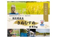  【 新米予約 】 きぬむすめ 玄米 5kg 縁起の竜王米 ( 令和7年産 先行予約 新米 玄米 5kg おこめ ごはん 米 特別栽培米 ブランド米 ライス こだわり米 ギフト 国産 縁起の竜王米 滋賀県竜王町 )