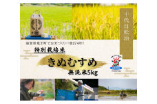  【 新米予約 】 きぬむすめ 無洗米 5kg 縁起の竜王米 ( 令和7年産 先行予約 新米 無洗米 5kg おこめ ごはん 米 特別栽培米 ブランド米 ライス こだわり米 ギフト 国産 縁起の竜王米 滋賀県竜王町 )