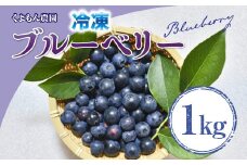くよもん農園 冷凍 ブルーベリー 1kg　AG01