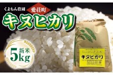 くよもん農園 愛荘町産 キヌヒカリ 5kg  令和6年産　白米 精米　AG03