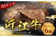 近江牛 ハンバーグ 6個 A5 ランク 使用　フレンチレストランRuisseauシェフ監修　牛肉 和牛 黒毛和牛 国産　AI14