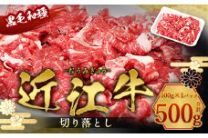 近江牛 切り落とし 500g　牛肉 和牛 黒毛和牛 国産　AI10