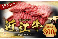 近江牛 焼肉 セット 300ｇ　牛肉 和牛 黒毛和牛 国産　AI28