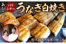 あびこ家 パリふわっうなぎ白焼き 2本　うなぎ 鰻 白焼き 国産 特大　AD04