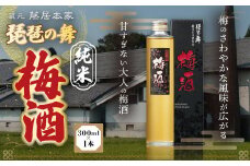 琵琶の舞　純米梅酒　300ml AJ01