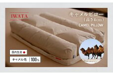 IWATA　キャメルピロ―　（高さ４㎝）　枕　ラクダ　AA045