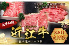 【定期便】近江牛食べ比べコースB 頒布会３カ月　ステーキ すき焼き しゃぶしゃぶ　牛肉 和牛 黒毛和牛 国産　AI17