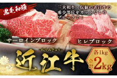 近江牛 サーロイン ブロック ＆  ヒレ ブロック 各1kg 合計2kg　牛肉 和牛 黒毛和牛 国産　AI18