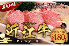 近江牛 ヒレ ステーキ 160g×3枚　牛肉 和牛 黒毛和牛 国産　 AI02