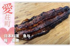日本料理 魚与 鰻の蒲焼　うなぎ 鰻 蒲焼き　BE03