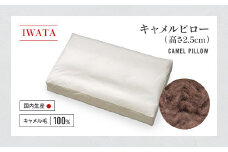 IWATA　キャメルピロ―　（高さ2.5㎝）　枕　ラクダ　AA098