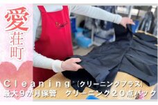 クリーニング２０点パック BH02