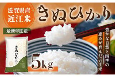 近江米　きぬひかり　白米５㎏ 令和6年産 BD01	