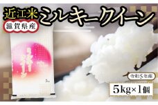 近江米　ミルキークイーン　白米５㎏ 令和6年産 BD03