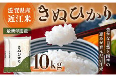 近江米　きぬひかり　白米10㎏ 令和6年産  BD02	