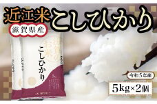 近江米　こしひかり　白米１０㎏ 令和6年産 BD06