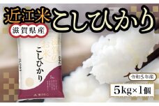近江米　こしひかり　白米５㎏ 令和6年産 BD05