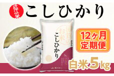 12ヶ月定期便 近江米 こしひかり 白米５kg  BD17