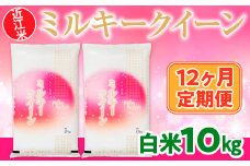 12ヶ月定期便 近江米 ミルキークイーン 白米10kg  BD14