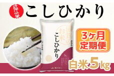 3ヶ月定期便 近江米 こしひかり 白米５kg  BD15