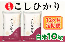 12ヶ月定期便 近江米 こしひかり 白米10kg  BD20
