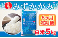 6ヶ月定期便  近江米　みずかがみ　白米５kg BD22