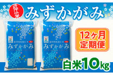 12ヶ月定期便 近江米 みずかがみ 白米10kg  BD26