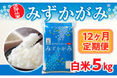 12ヶ月定期便 近江米 みずかがみ 白米５kg BD23