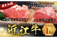 近江牛 サーロイン ブロック ＆ ヒレ ブロック 各500g　合計1kg　牛肉 和牛 黒毛和牛 国産　AI36