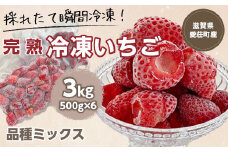 【採れたて瞬間冷凍！】滋賀県愛荘町産　冷凍いちご 3kg（500g×6）品種ミックス　有機 有機肥料 冷凍 いちご 紅ほっぺ よつぼし みおしずく あまえくぼ　2025年4・5・6月より準備が整い次第順次出荷 BJ06